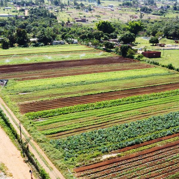 Projeto Horta na Aldeia