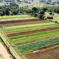 Projeto Horta na Aldeia
